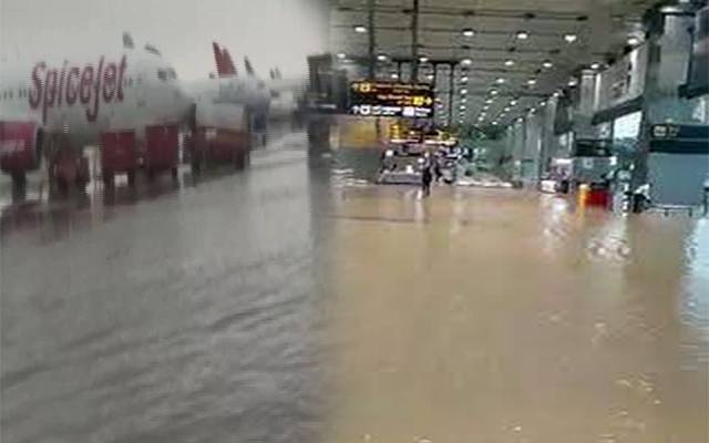 Rain 