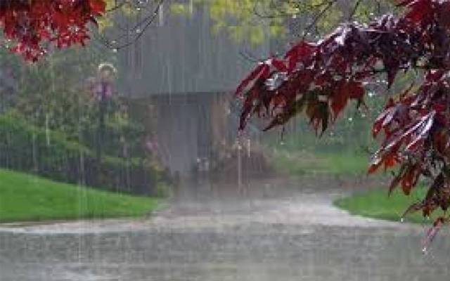 weather