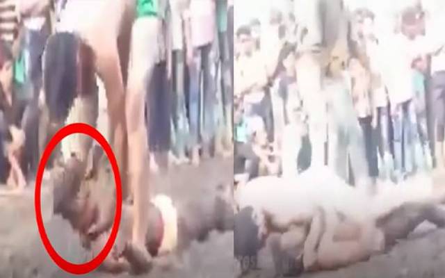  ریسلنگ مقابلے میں پہلوان جان کی بازی ہار گیا   