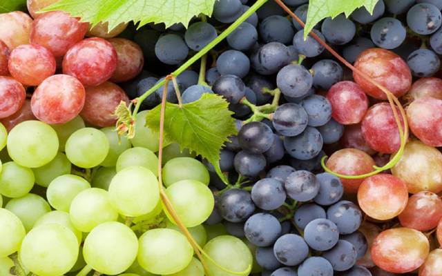 fruit,