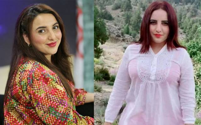 hareem shah viral pic her life