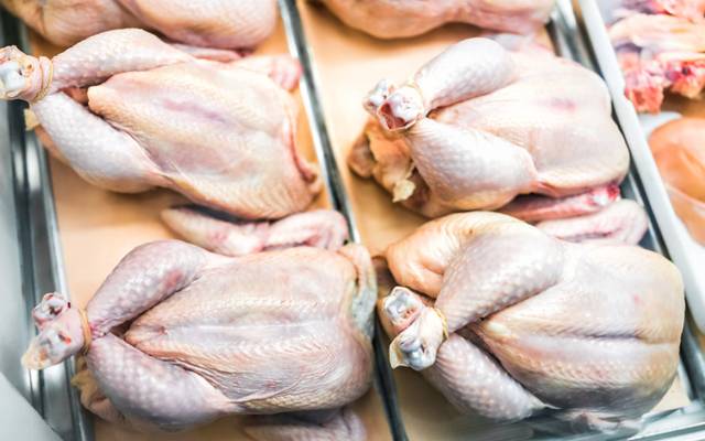 Chicken Price Decrease