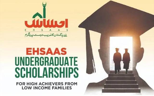 EHSAAS Undergraduate Scholarship