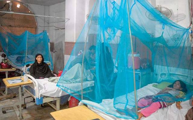 dengue patients in Lahore