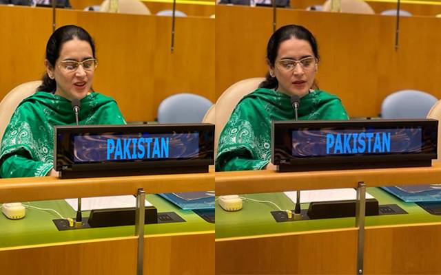 Saima Saleem first female diplomat 