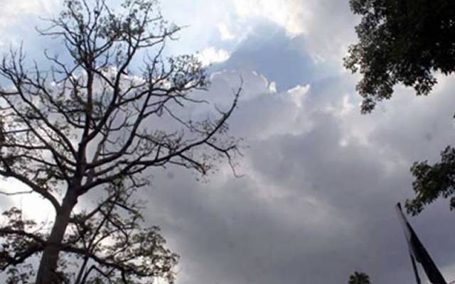 weather updates