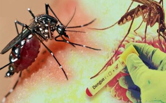 Dengue