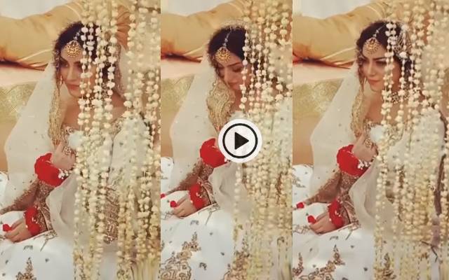 Alizeh Shah and Muneeb Romance 