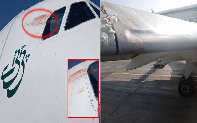 Birds hit PIA flight