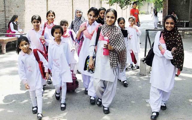 School education department