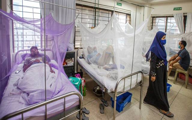 dengue fever cases in hospital