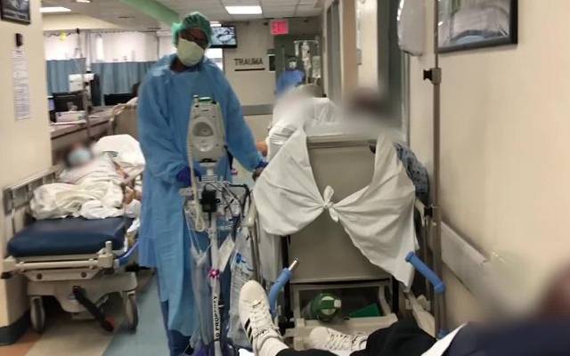 covid 19 cases in hospital