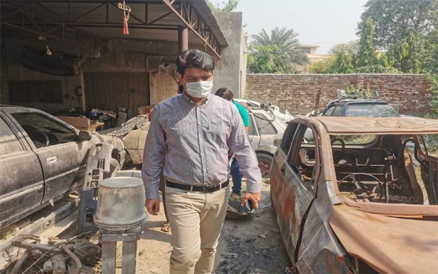 dengue surveillance