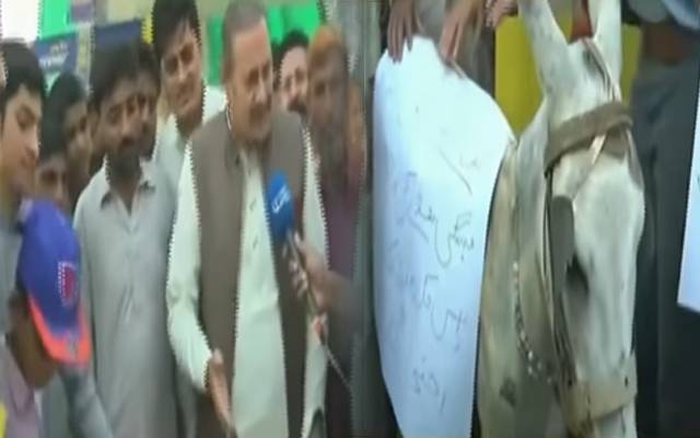 MPA Mirza Javed protest