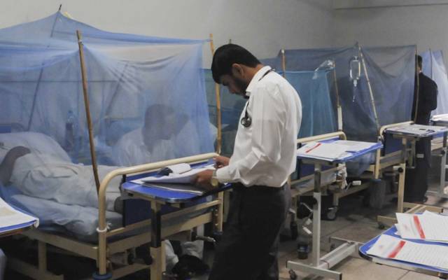 Dengue Patients in Lahore