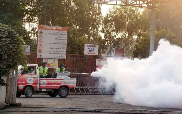 dengue spray