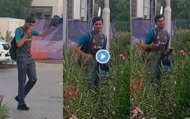 Shaheen video viral