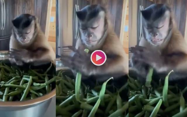 shocking video viral