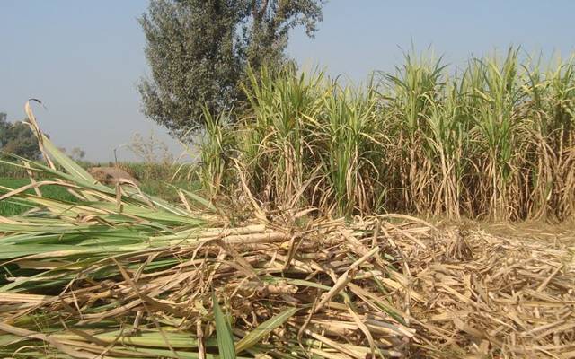 Gang Rape in Fields GOJRA
