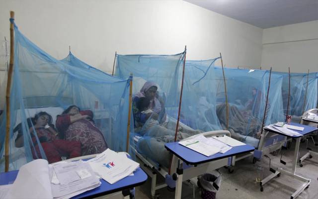 dengue 