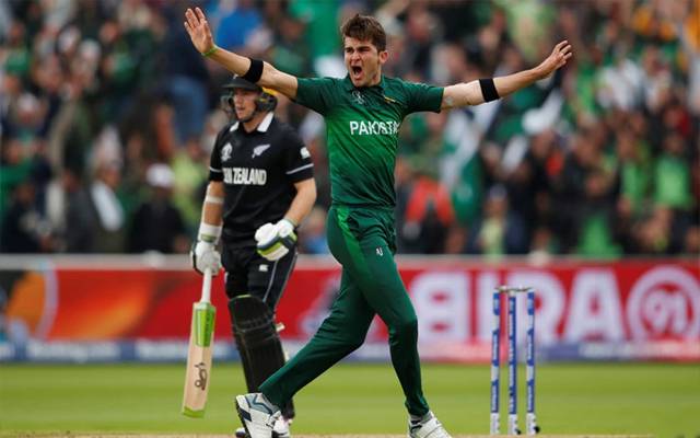 pak vs nz t20w
