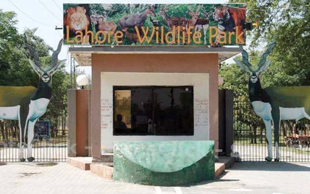 Lahore zoo safari new policy 