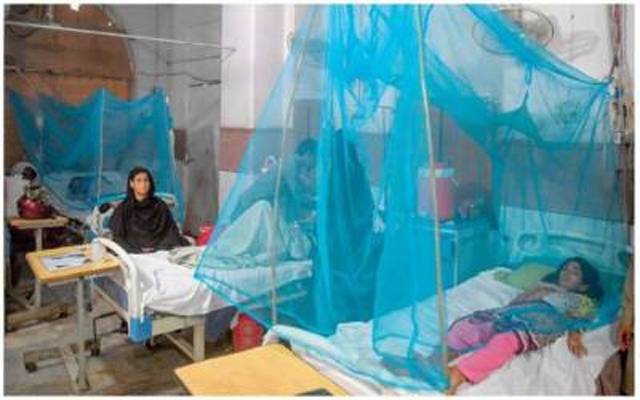dengue cases
