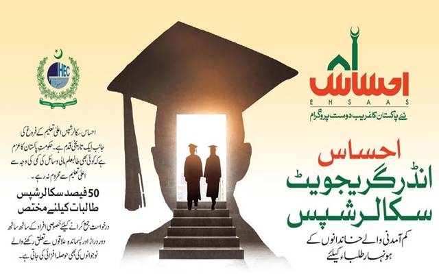 Undergraduate Scholarship