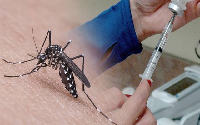 Dengue