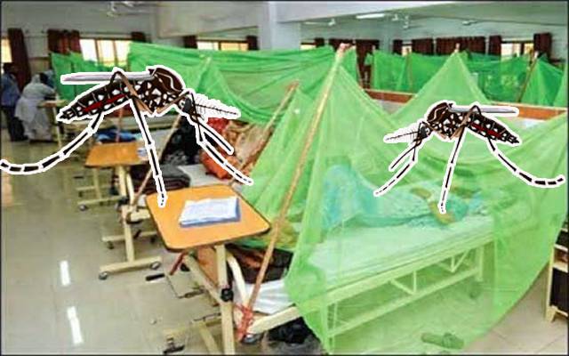 Dengue