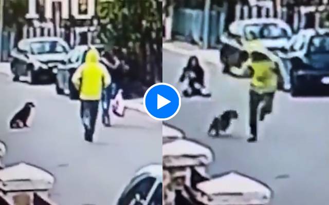 Dog save women from thief