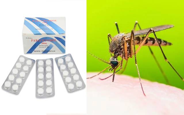 dengue in Lahore