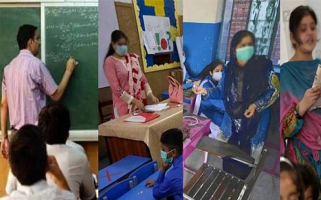 school education 