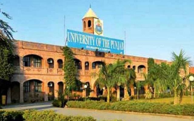 punjab university