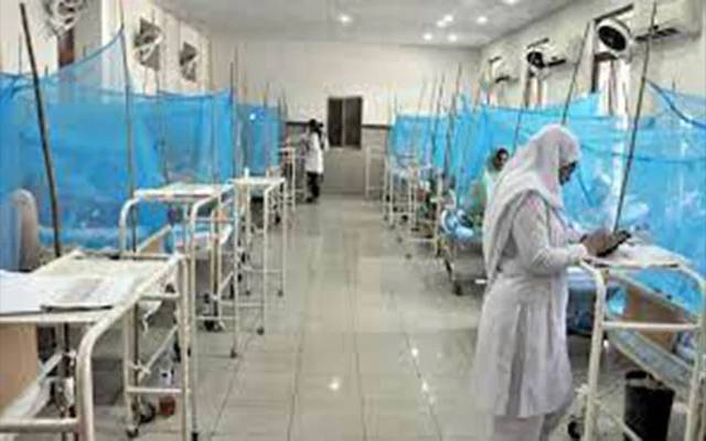 dengue cases in lahore