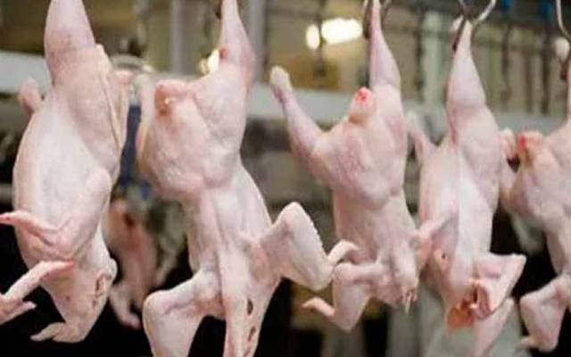 Chicken Price Decrease
