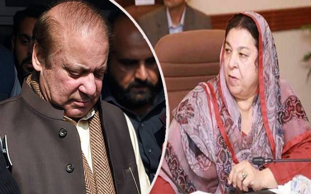 Yasmeen Rashid give advice 
