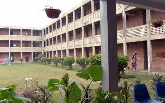 Punjab university