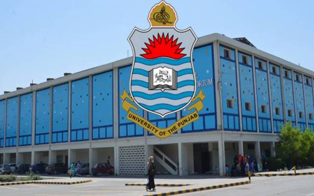 punjab university