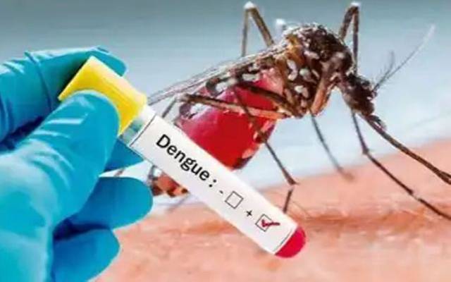 dengue cases in lahore 