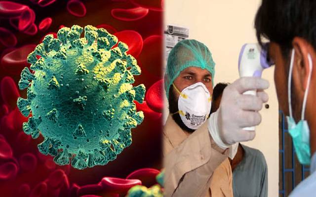 covid 19 cases in hospital