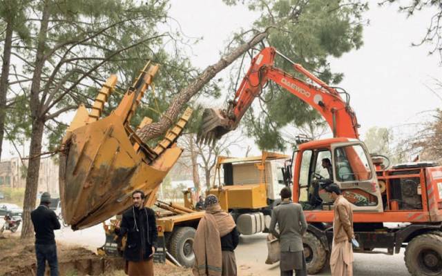 LDA to buy Tree Transplanter 