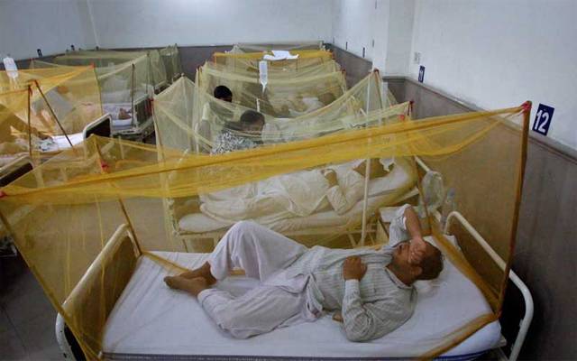 dengue in Lahore