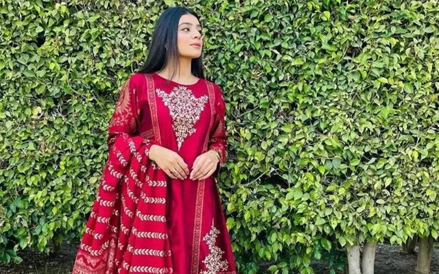 Kartarpur photoshoot issue