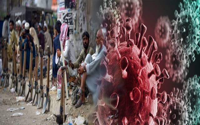 Pandemic pushing 500M people into extreme poverty: WHO reports