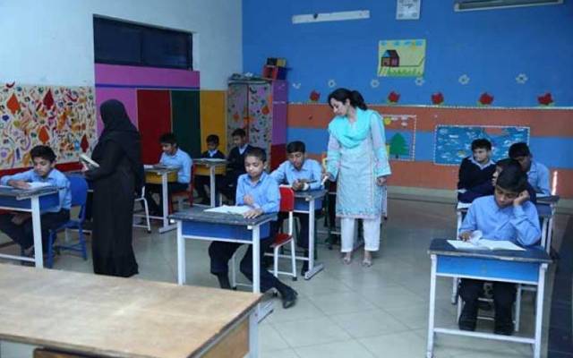 school teachers