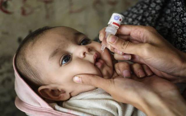 vaccination