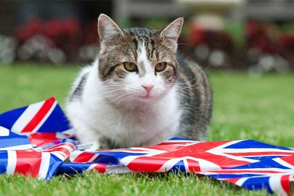 larry the cat appointed by british PM