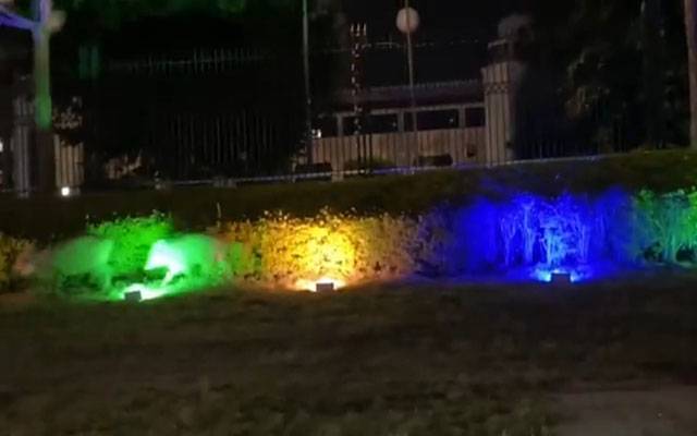 wild boar in islamabad