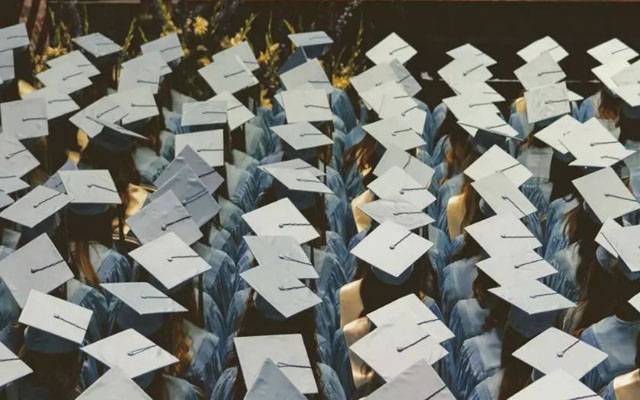 stem degree holders